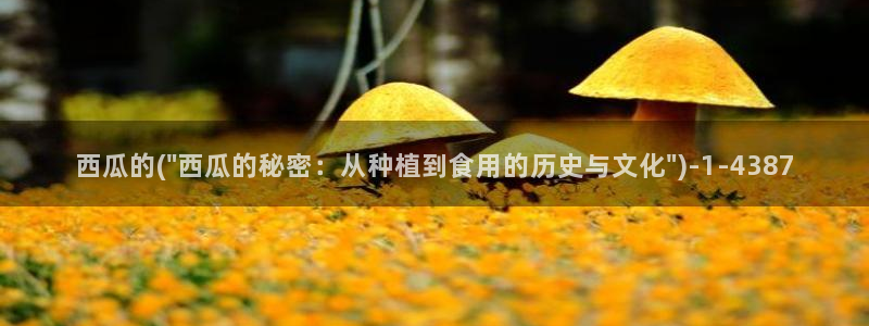 西瓜在线影视剧