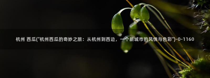 西瓜电影免费观看全部完整版高清