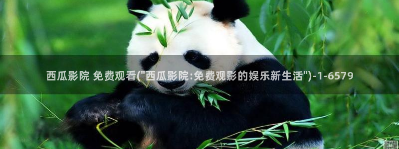 西瓜影院在线播放电视剧狂飙