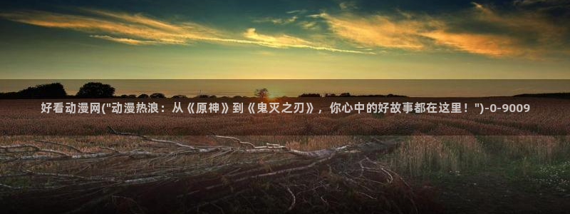 海贼王动漫