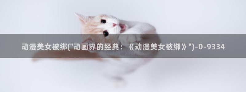 风车动漫在线看