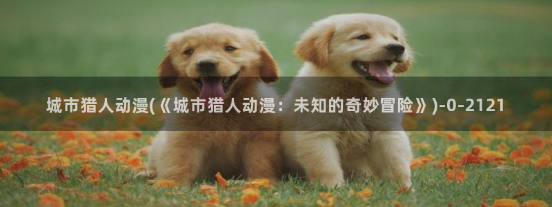 风车动漫