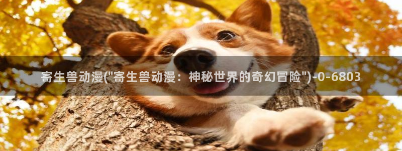 乳母动漫