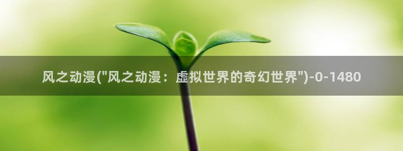 第一动漫