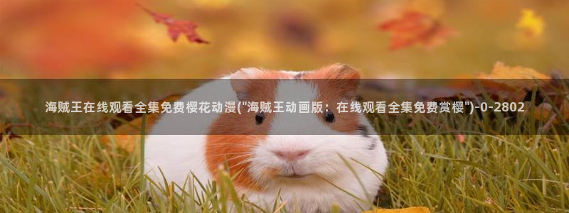 动漫资源